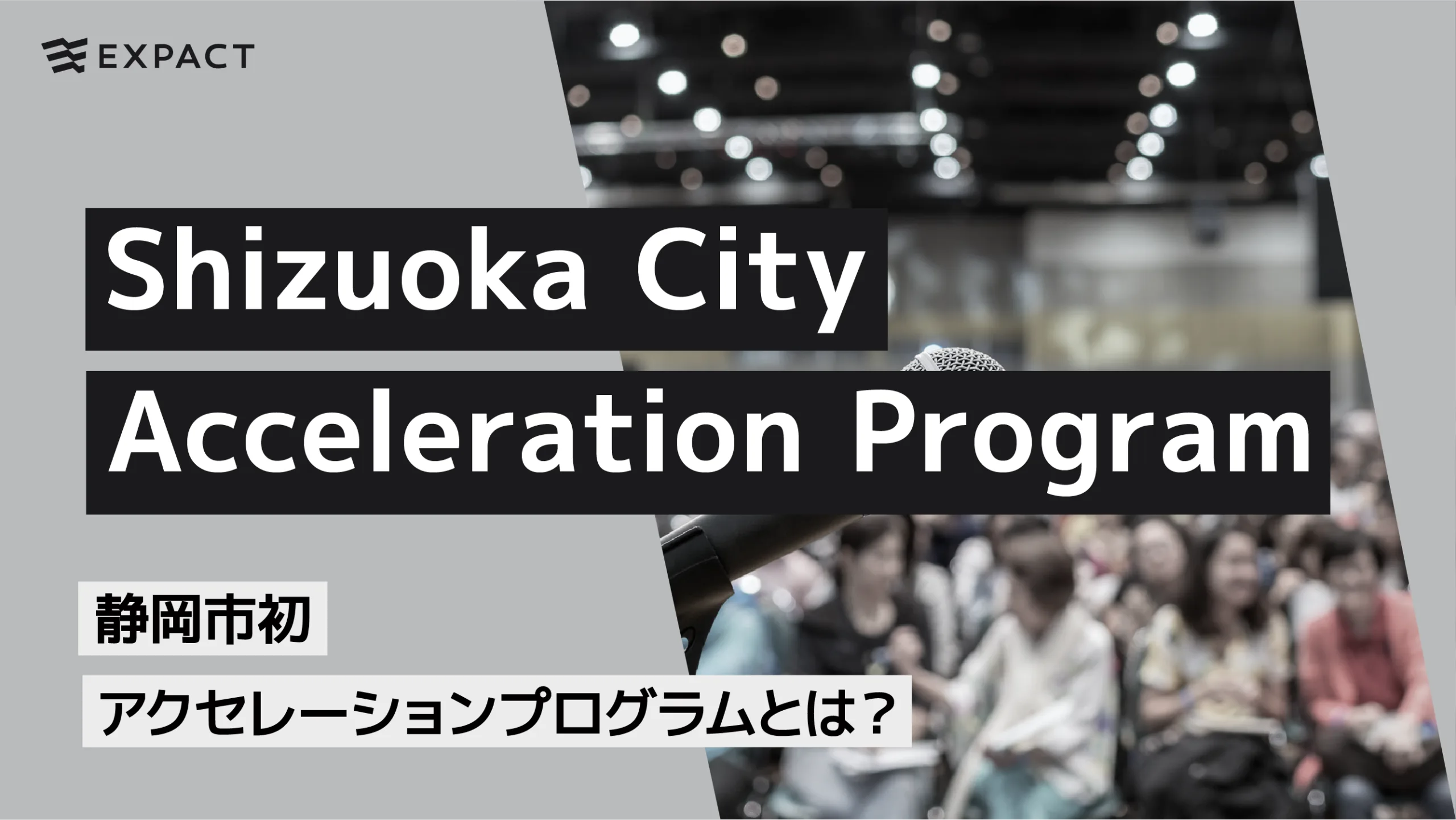 静岡市初アクセレーションプログラム”Shizuoka City Acceleration Program”とは？