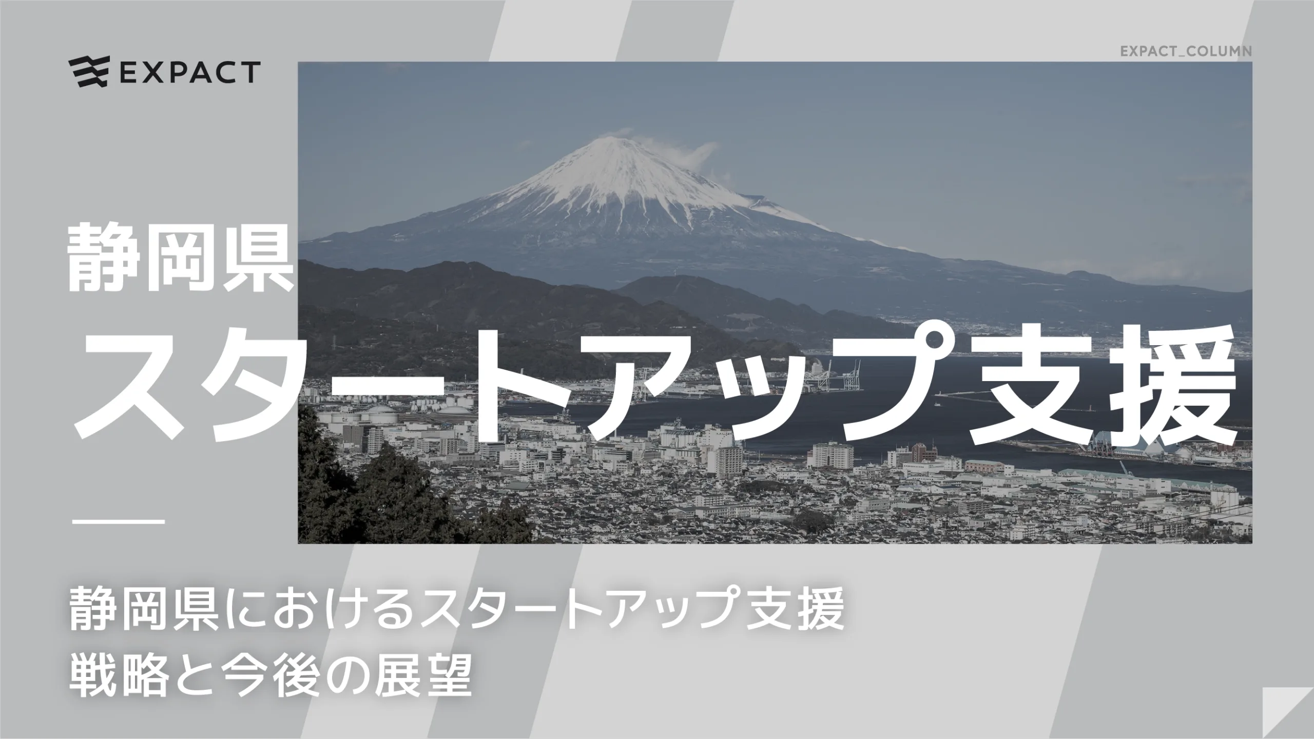 静岡県におけるスタートアップ支援：戦略と今後の展望