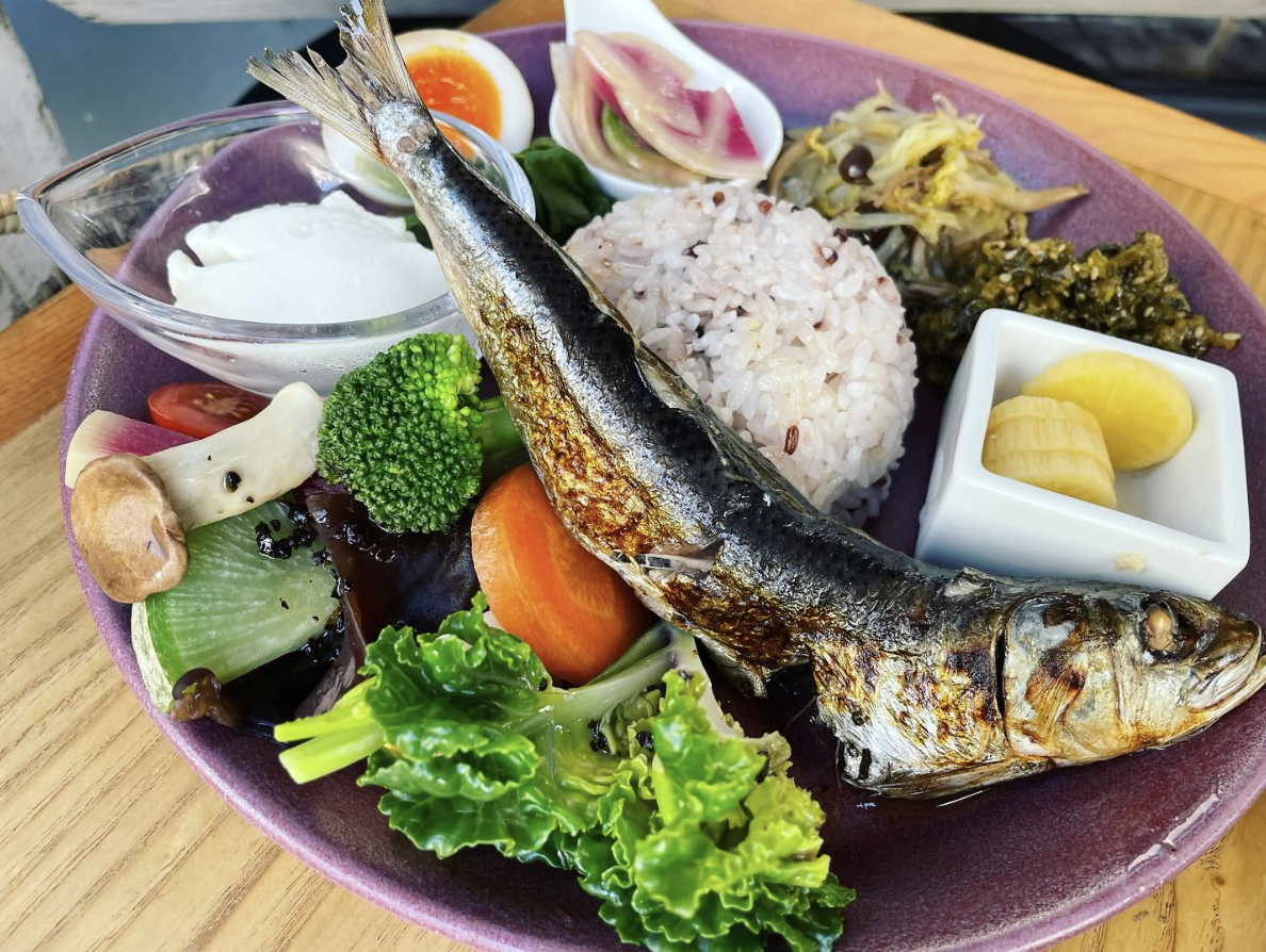  | EXPACT ｜スタートアップ支援｜新たな挑戦に、旗を掲げよう。｜Seed Impacts, Harvest Changes.｜